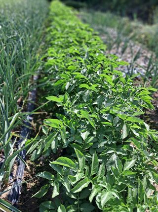 경선님의 자유주제 · 자유게시판 작성글 사진