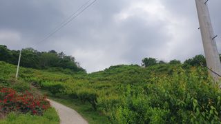 다온아띠농원 장현호님의 자유주제 · 자유게시판 작성글 사진