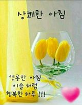 팜모닝 자유주제·자유게시판 게시글 이미지