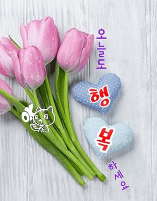 알 수 없음님의 자유주제 · 자유게시판 작성글 사진