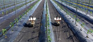 정진해님의 자유주제 · 자유게시판 작성글 사진