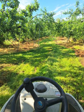 최승국님의 사과 · 영농일지 작성글 사진