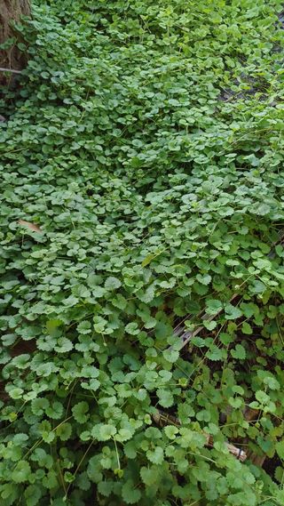 박신영님의 작성글 사진