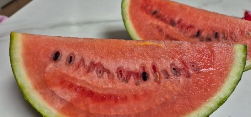 프레셔스님의 장터 판매 상품 [수박 7-9키로] 첨부 사진