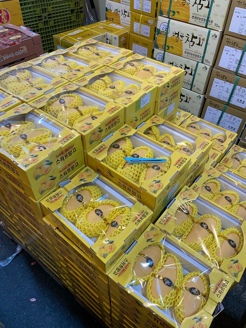 프레셔스님의 장터 판매 상품 [수박 7-9키로] 첨부 사진