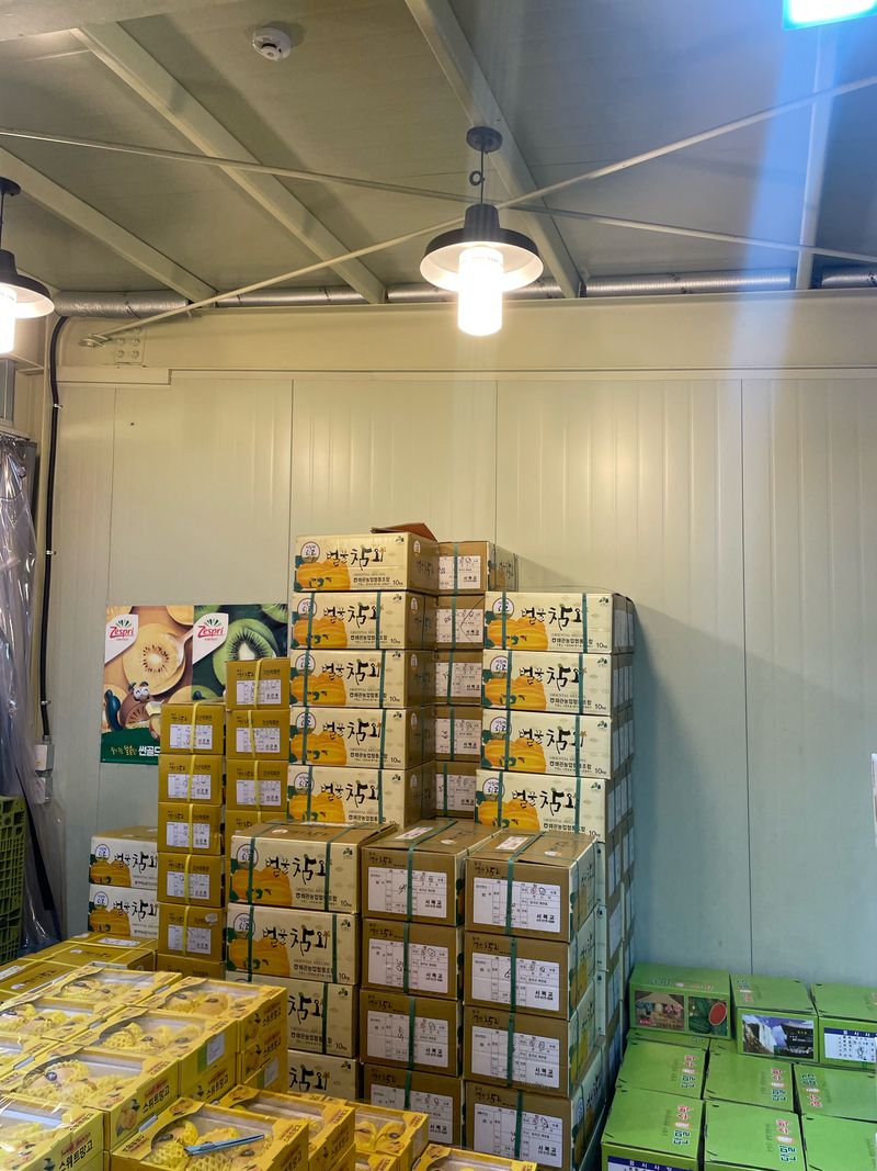 프레셔스님의 장터 판매 상품 [수박 7-9키로] 첨부 사진