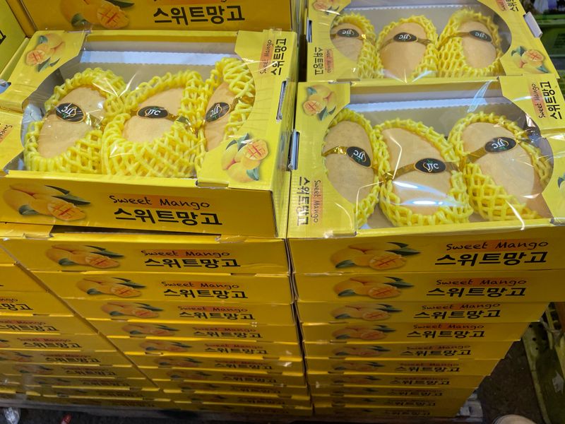 프레셔스님의 장터 판매 상품 [수박 7-9키로] 첨부 사진