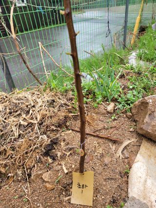 땅땅님의 자유주제 · 자유게시판 작성글 사진