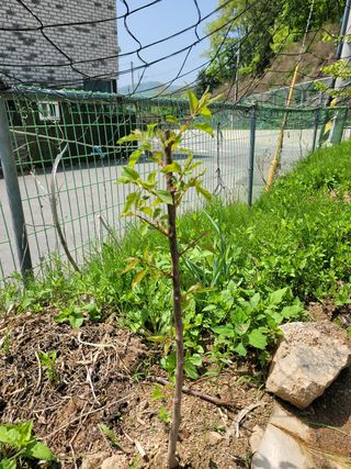 땅땅님의 자유주제 · 자유게시판 작성글 사진