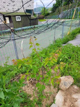 땅땅님의 자유주제 · 자유게시판 작성글 사진