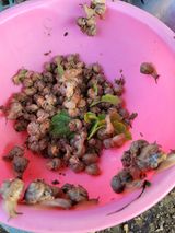 팜모닝 자유주제·자유게시판 게시글 이미지