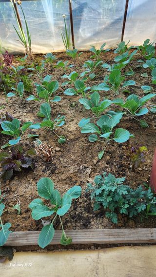 이명화님의 자유주제 · 자유게시판 작성글 사진