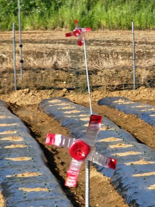 장재갑님의 감자 · 영농일지 작성글 사진