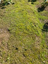 팜모닝 자유주제·자유게시판 게시글 이미지