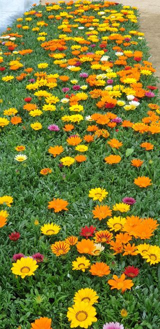 알 수 없음님의 자유주제 · 자유게시판 작성글 사진