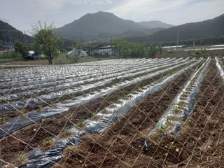 무주김근중님의 자유주제 · 자유게시판 작성글 사진