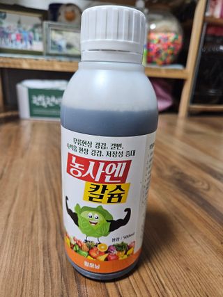 무소유님의 자유주제 · 자유게시판 작성글 사진