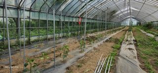 ♡청심전유삼♡님의 자유주제 · 자유게시판 작성글 사진