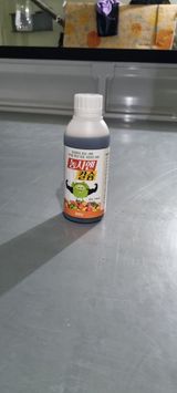 팜모닝 자유주제·자유게시판 게시글 이미지