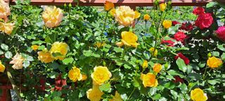 콩18930님의 자유주제 · 사진전 작성글 사진