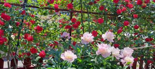 콩18930님의 자유주제 · 사진전 작성글 사진