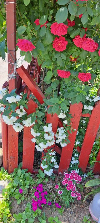 콩18930님의 자유주제 · 사진전 작성글 사진