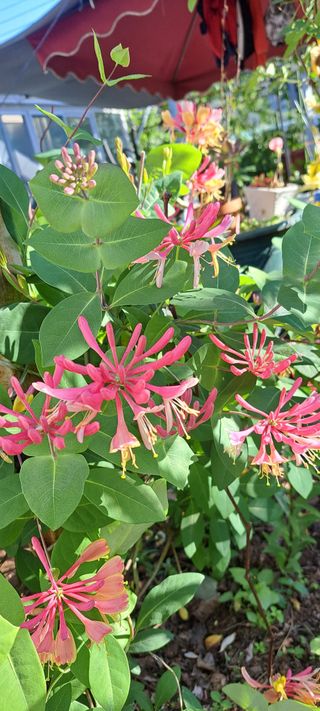 콩18930님의 자유주제 · 사진전 작성글 사진