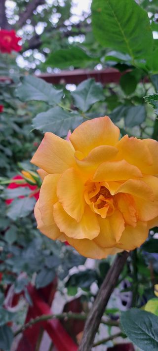 콩18930님의 자유주제 · 사진전 작성글 사진