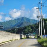 팜모닝 자유주제·자유게시판 게시글 이미지