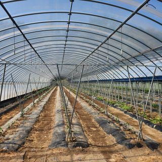 유원준님의 자유주제 · 자유게시판 작성글 사진