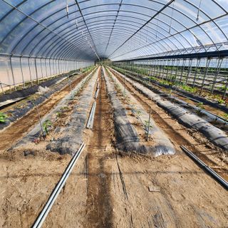 유원준님의 자유주제 · 자유게시판 작성글 사진