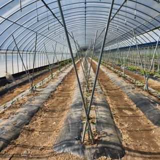 유원준님의 자유주제 · 자유게시판 작성글 사진