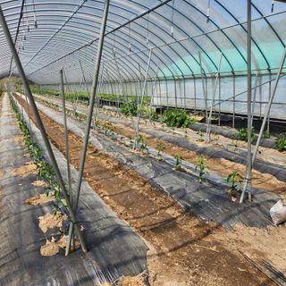 유원준님의 자유주제 · 자유게시판 작성글 사진