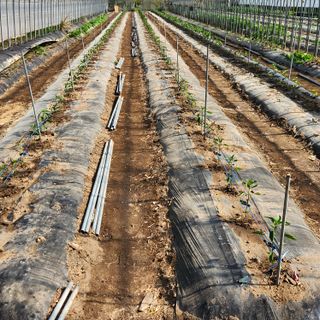 유원준님의 자유주제 · 자유게시판 작성글 사진