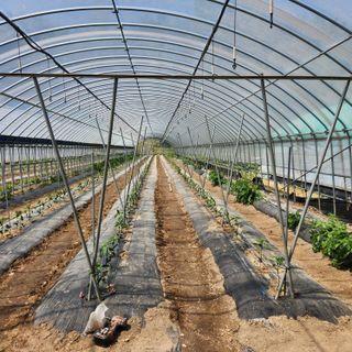 유원준님의 자유주제 · 자유게시판 작성글 사진