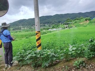 이용규♡자연을 담은님의 팜모닝 · 출석 작성글 사진