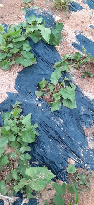 옥수수108701님의 자유주제 · 자유게시판 작성글 사진