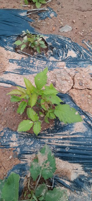 옥수수108701님의 자유주제 · 자유게시판 작성글 사진