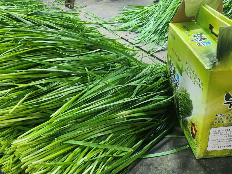 조일현님의 장터 판매 상품 [초벌 부추즙] 첨부 사진