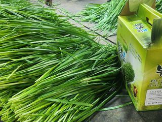 조일현님의 작성글 사진