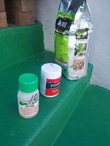 팜모닝 고추·병해충상담 게시글 이미지