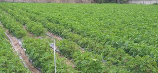 배추16219님의 자유주제 · 자유게시판 작성글 사진