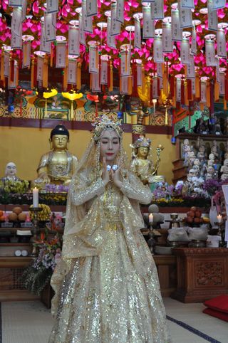 관우성님의 자유주제 · 자유게시판 작성글 사진