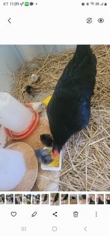 팜모닝 자유주제·자유게시판 게시글 이미지