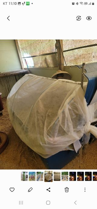  영천 천정구님의 자유주제 · 자유게시판 작성글 사진