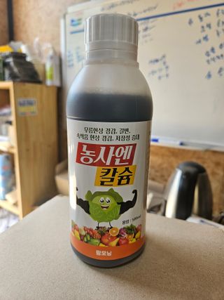 땅끝해남님의 자유주제 · 자유게시판 작성글 사진