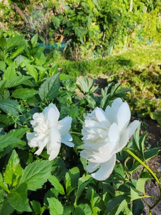 수연님의 자유주제 · 자유게시판 작성글 사진