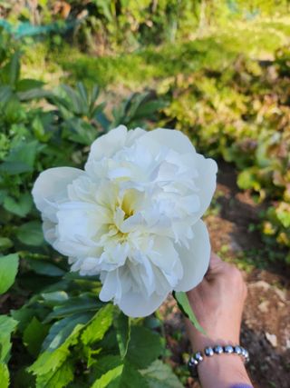 수연님의 자유주제 · 자유게시판 작성글 사진