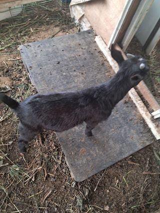 전희분님의 자유주제 · 자유게시판 작성글 사진