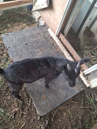 전희분님의 자유주제 · 자유게시판 작성글 사진